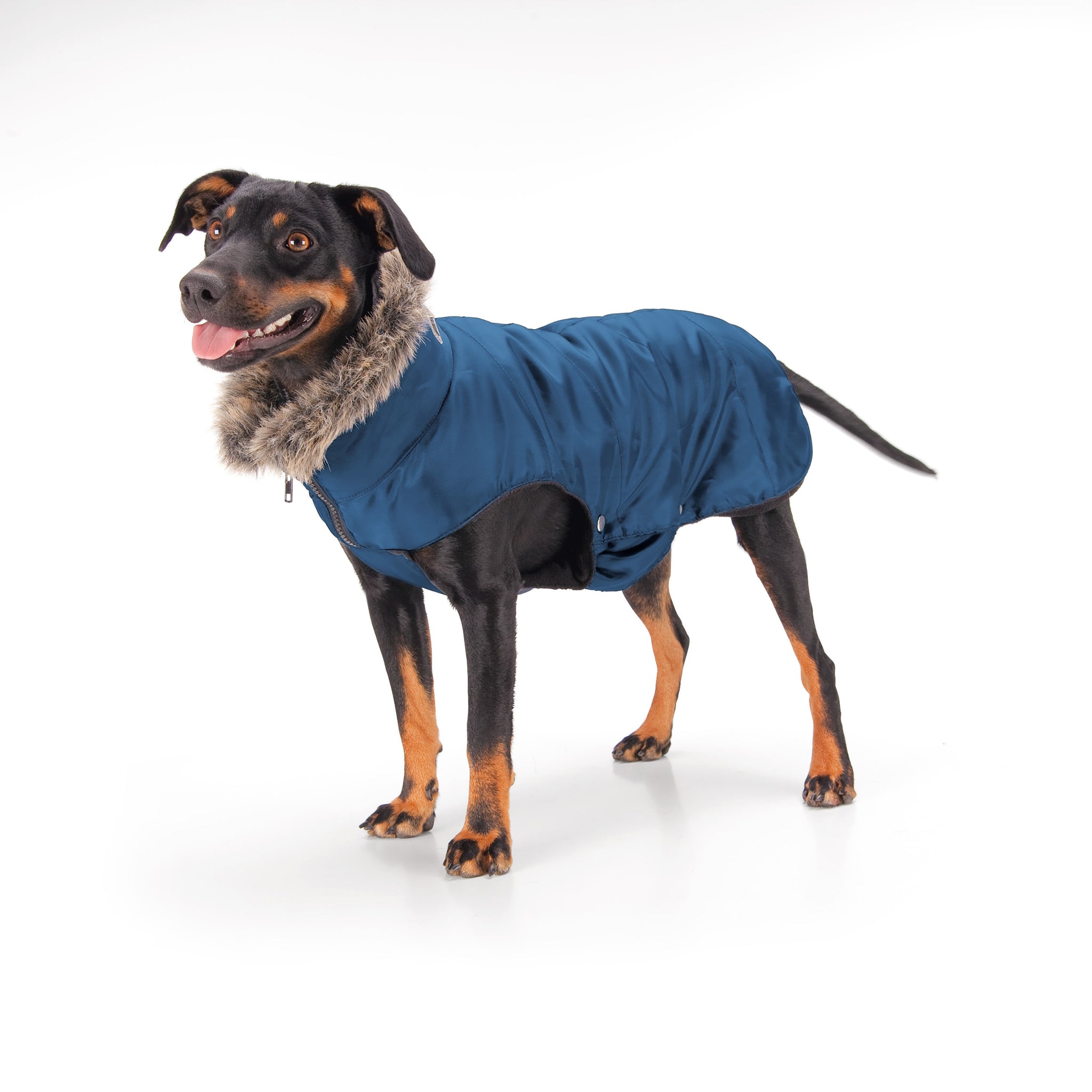 Pikeur Eskadron Dog Coat