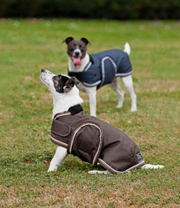 Dog Coat